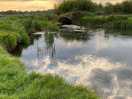 The river frome.