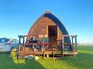Woodpecker pod. sleeps 4. double bed & large futon