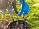 Marshmallows