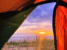View from tent