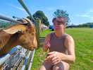 One of the farm goats