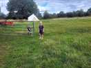 Running free