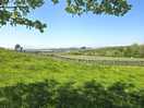 Surrounding views