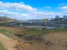 Good walks