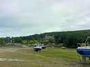 The harbour