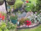 Pond