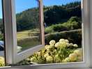 Beauitiful view from the back of the pod out of the window by the double bed.