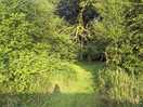 Path on treasure hunt