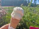 Delicious ice creams available.
