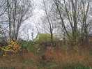 Spot the tent