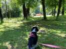 Rosie loved the squirrels!