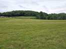 The tent field