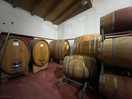 Wine tasting tour