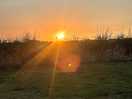 Beautiful sunset