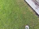Imaging a child running into this in bare feet or flip flops.