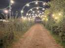Magical walkway