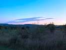 Evening view