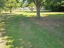 Good clear space for relaxing