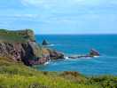 Wild coast