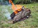 Log camp fire