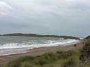 Llandwyn beach and woods