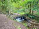 Wander down to the waterfall