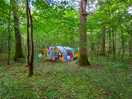 Our pitch in the foresy