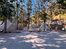 Tipis