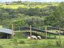 Lovely walk to the farm house