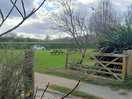 Spacious pitches