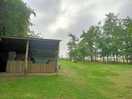 Communal area