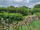 Quiet lane at the back of our pitch.