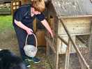 Never seen our son be so careful in collecting the eggs!