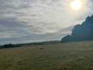Morning sunrise over the field