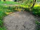 Where i pitched my tent.