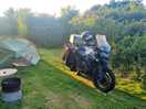 Pitched tent with bike