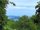 View from fox farm towards mounts bay and st michael's mount