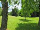 Well maintained grass