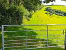Beautiful rolling hills