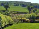 More countryside