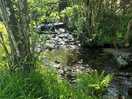 Beautiful little waterfall on the river that runs along the edge of the site.