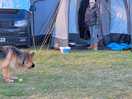 Good camp
