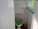 Quirky toilets love it very clean