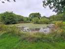 Beautiful nature pond