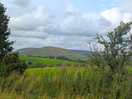 View from my tent