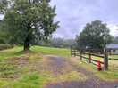 Taken on the way out after picking up. it had rained in the night but the previous day was baking!