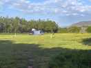 All alone in the field