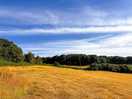 Field with pitched in.