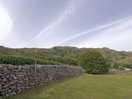 Site views