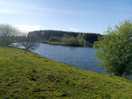 Pond